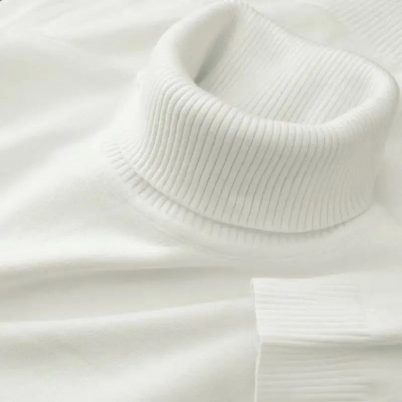 Merino Wool Turtleneck